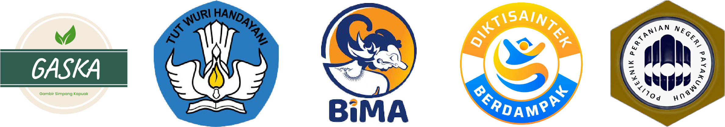 Gambir Simpang Kapuak